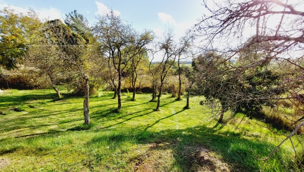 PRODÁNO - Stavební pozemek 1488 m2 u Suchdola nad Lužnicí ve vesničce Bor