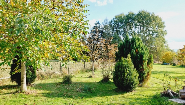 PRODÁNO - Stavební pozemek 1488 m2 u Suchdola nad Lužnicí ve vesničce Bor