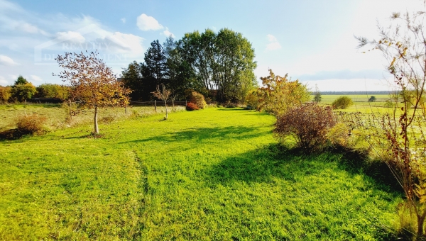 PRODÁNO - Stavební pozemek 1488 m2 u Suchdola nad Lužnicí ve vesničce Bor