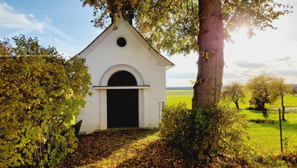 PRODÁNO - Stavební pozemek 1488 m2 u Suchdola nad Lužnicí ve vesničce Bor